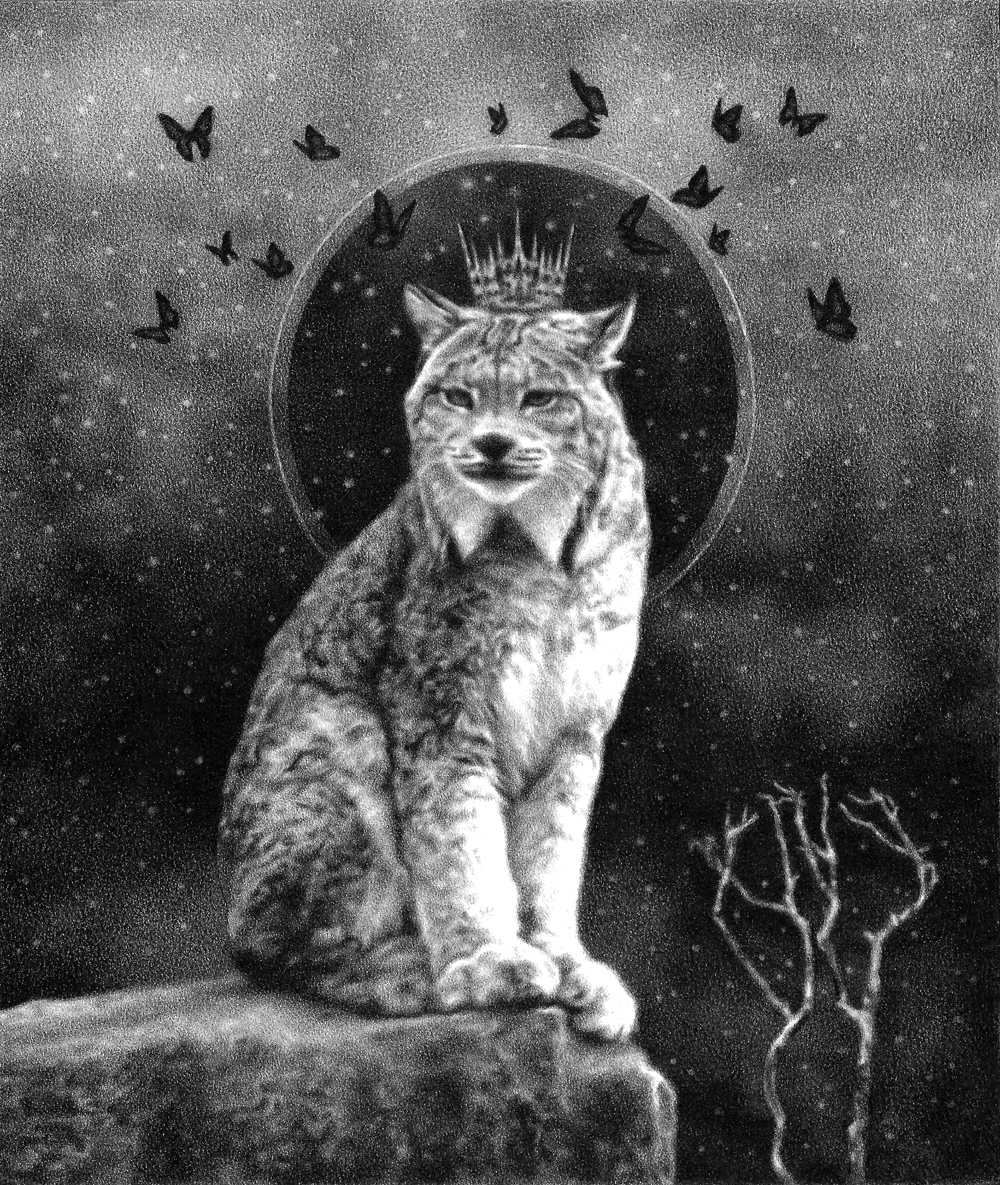 Graphite drawing of Canada lynx sitting on a cliff with butterflies, by artist Steph Kunze