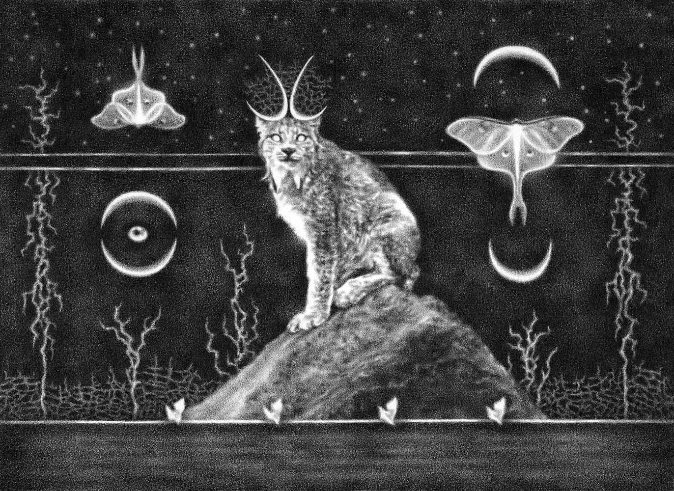 Graphite drawing of a lynx and luna moths in a dark surreal landscape, by artist Steph Kunze