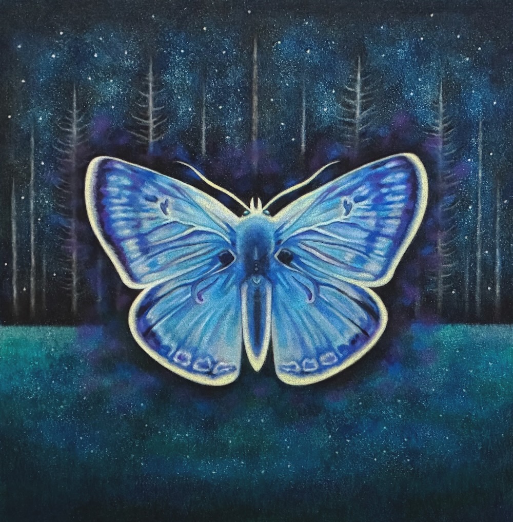 Traditional mixed media art piece of an arctic blue butterfly with glowing wings in a nighttime forest, by artist Steph Kunze