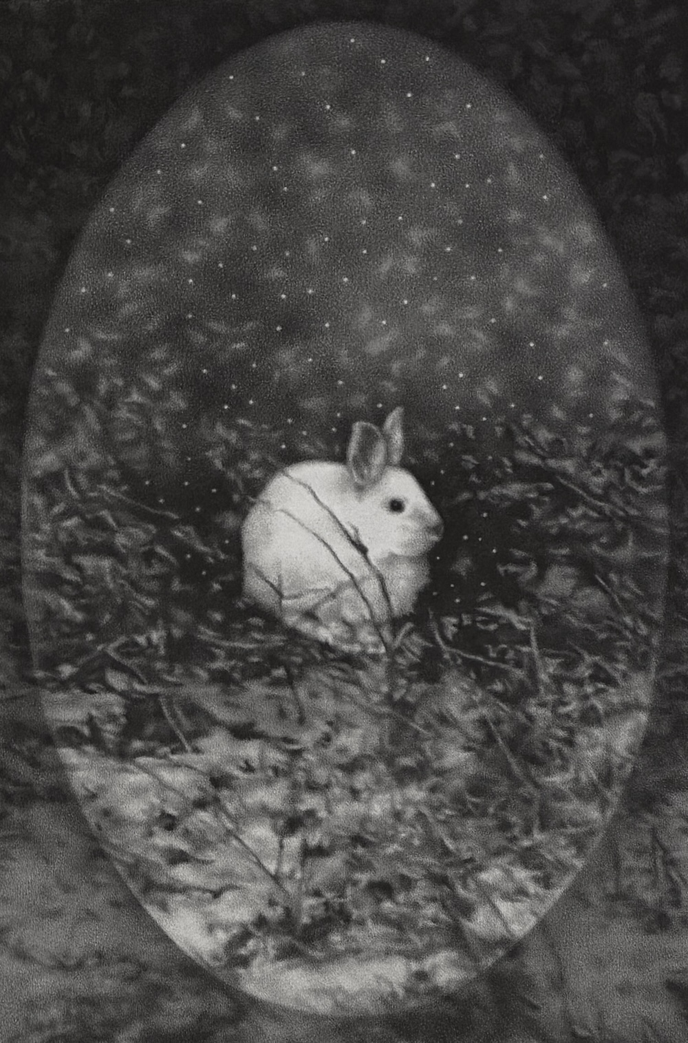 A realistic graphite drawing of a snowshoe hare in Silver Bay, MN
