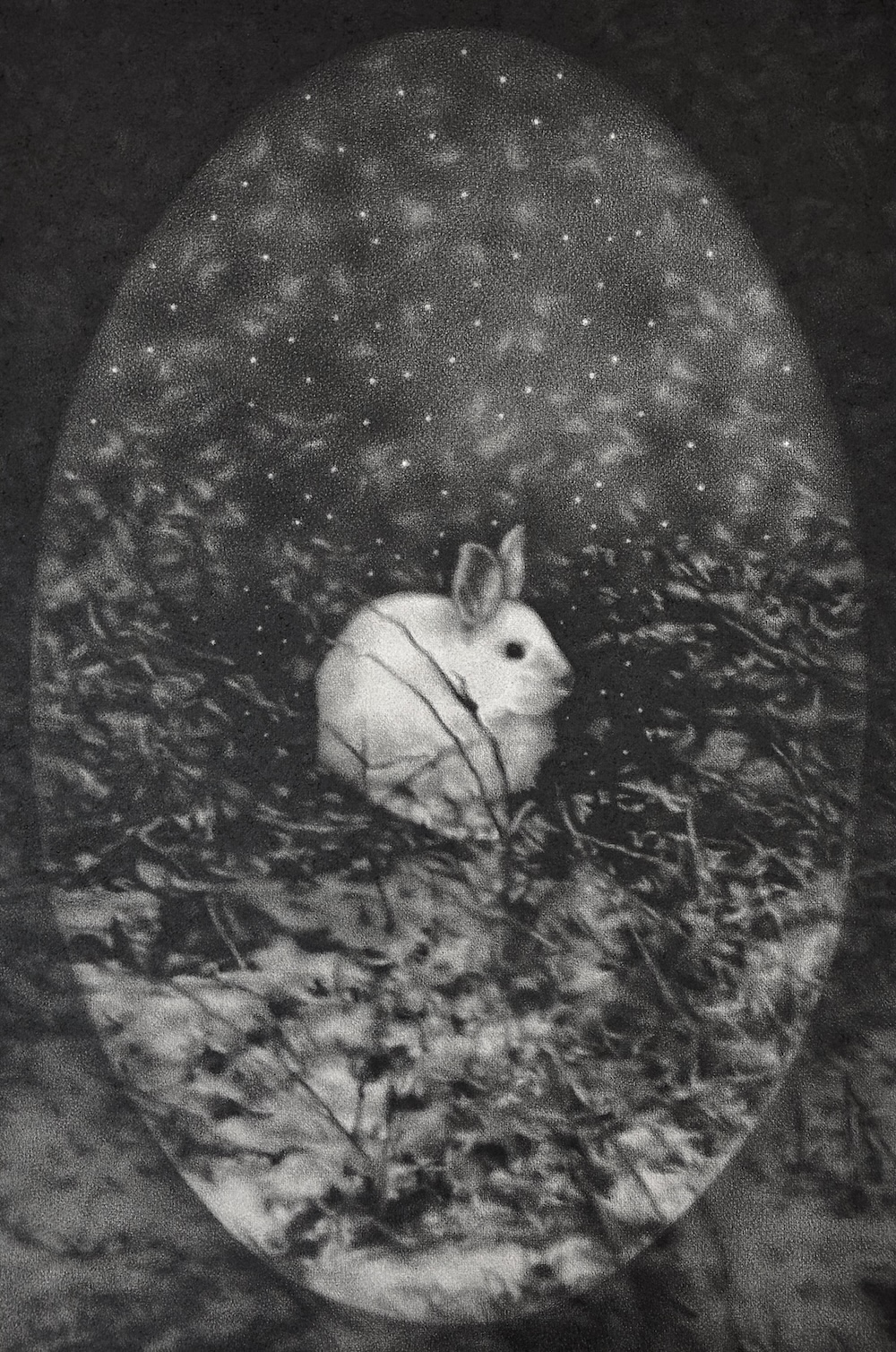 A realistic graphite drawing of a snowshoe hare in Silver Bay, MN