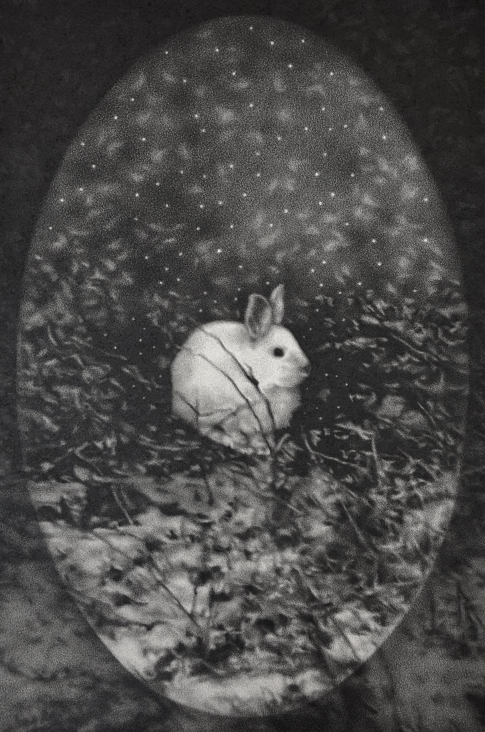 A realistic graphite drawing of a snowshoe hare in Silver Bay, MN